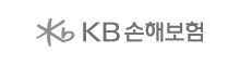 KB 손해보험