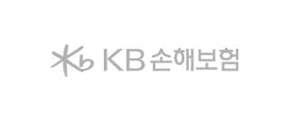 KB 손해보험