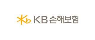 KB 손해보험