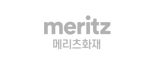meritz 메리츠화재